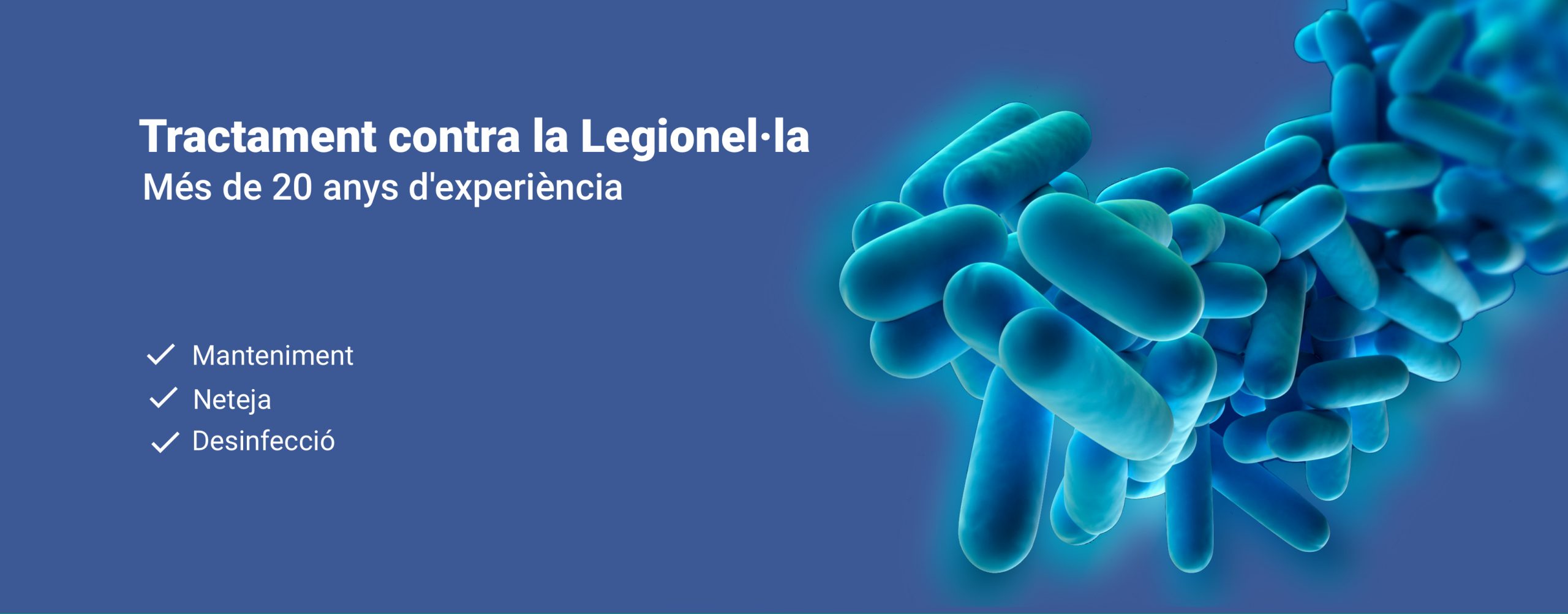 Tractament contra la Legionel·la. Mantenimient, neteja i desinfecció - Pressupost Legionel·la